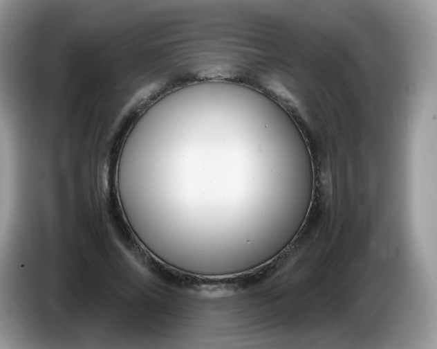 X0000086230686200704121915