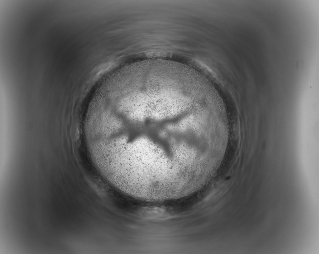 X0000086230687200704121915