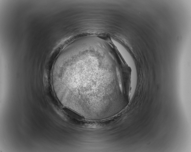 X0000086230688200704121915