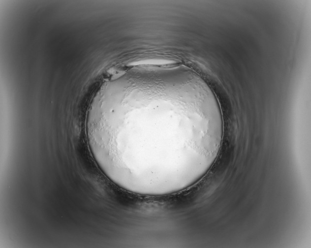 X0000086230691200704121915