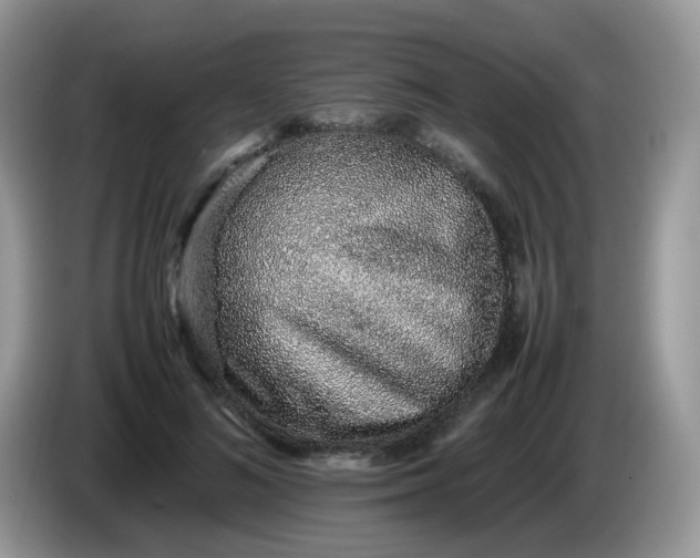 X0000086230692200704121915