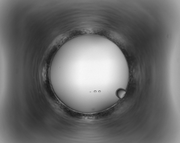 X0000086230694200704121915