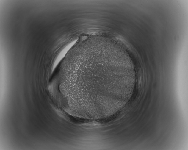 X0000086230696200704121915