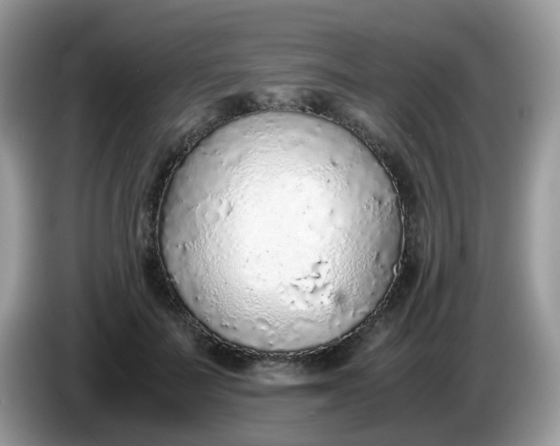 X0000086230699200704121915