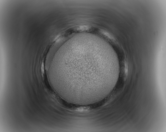 X0000086230700200704121915