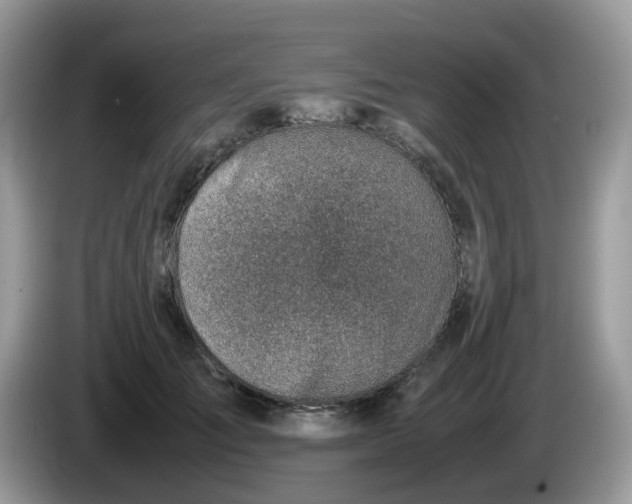 X0000086230701200704121915