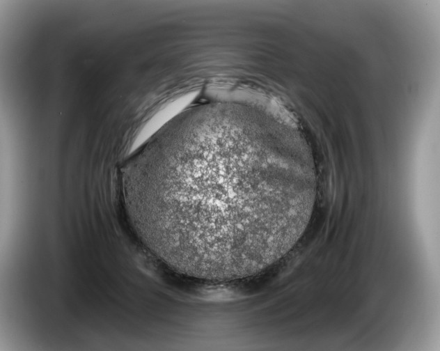 X0000086230704200704121915