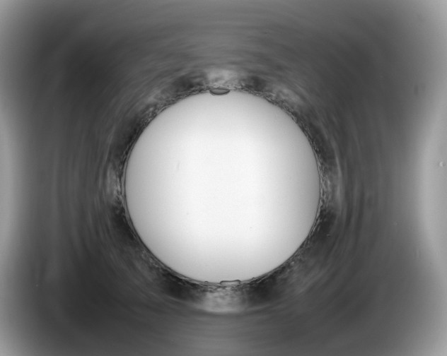 X0000086230705200704121915