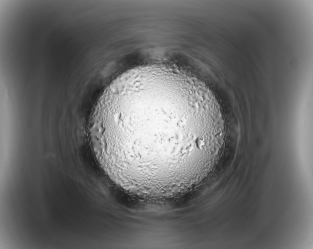 X0000086230707200704121915