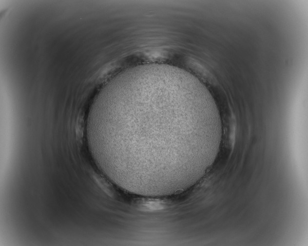 X0000086230710200704121915