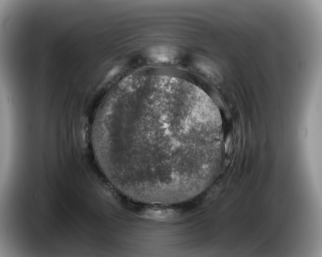 X0000086230712200704121915