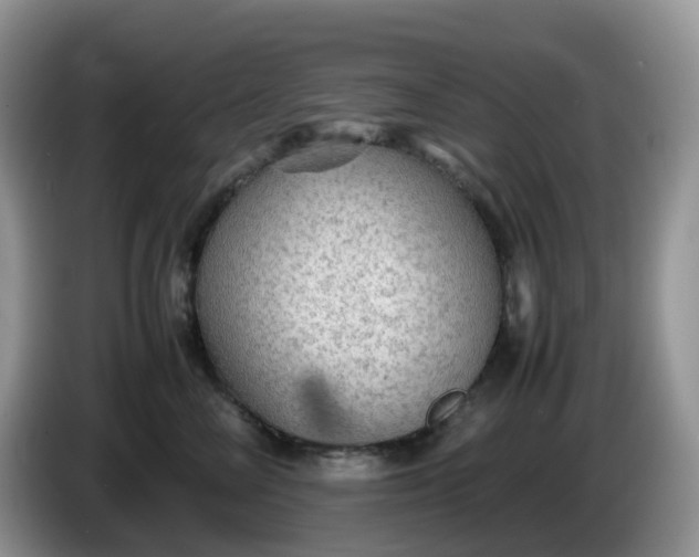 X0000086230714200704121915