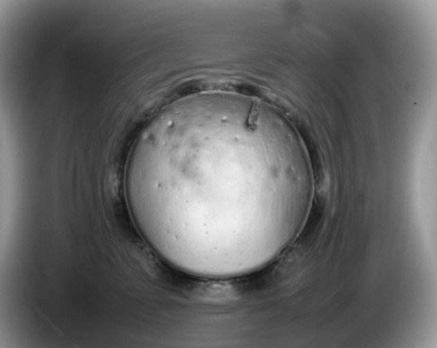 X0000086230715200704121915