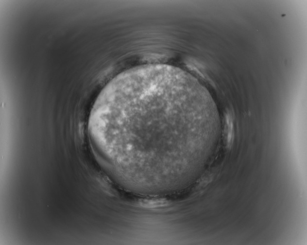 X0000086230716200704121915