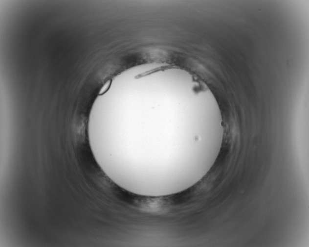 X0000086230717200704121915