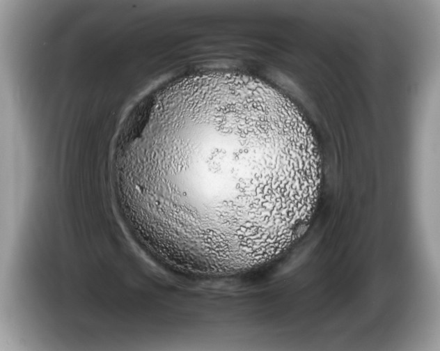 X0000086230721200704121914