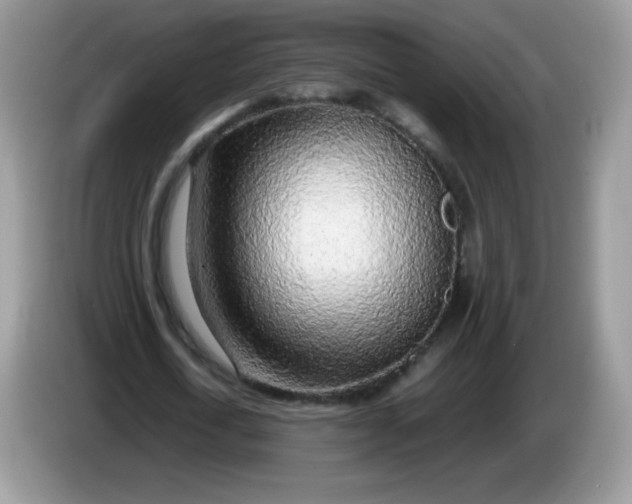 X0000086230722200704121914