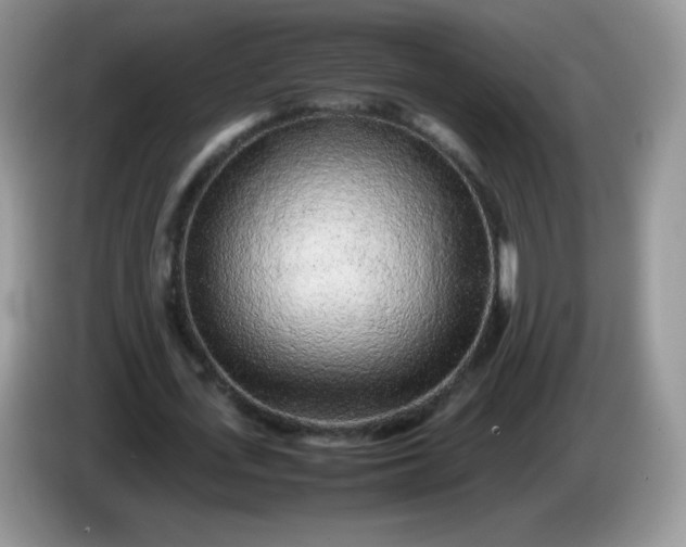 X0000086230723200704121914