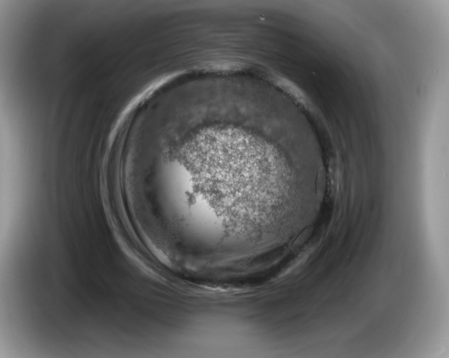 X0000086230726200704121914