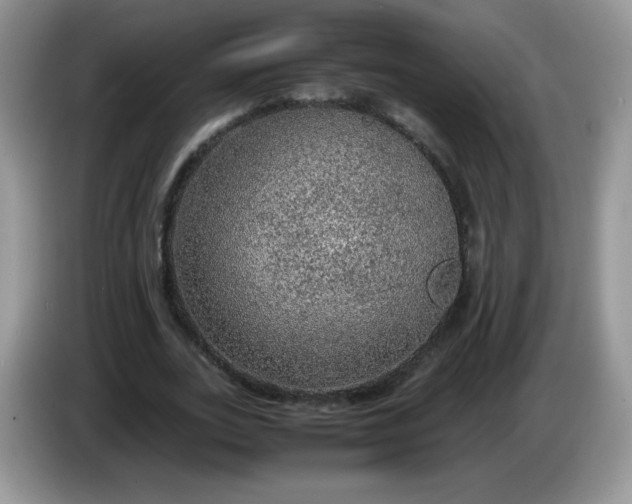 X0000086230727200704121914