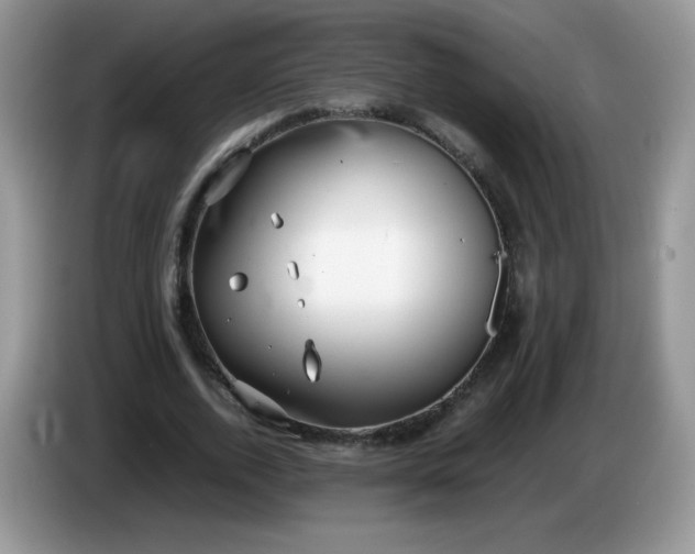 X0000086230728200704121914