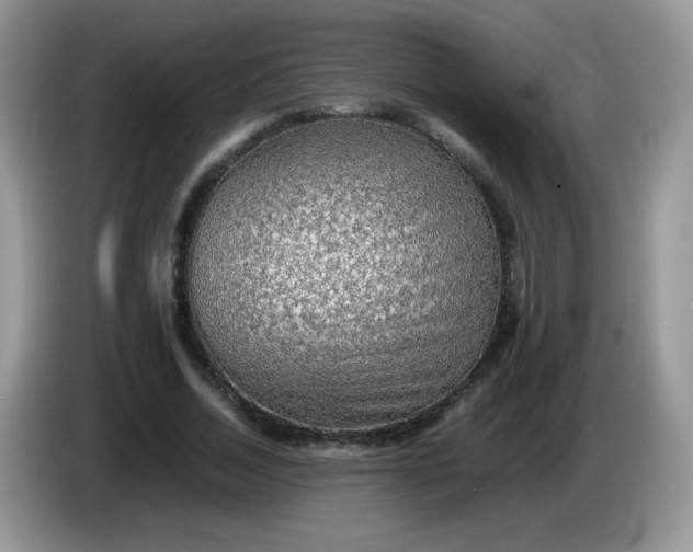 X0000086230730200704121914