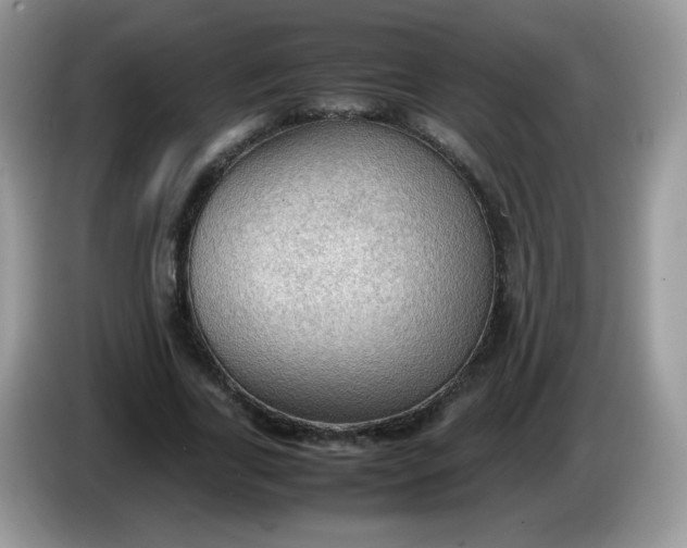 X0000086230731200704121914