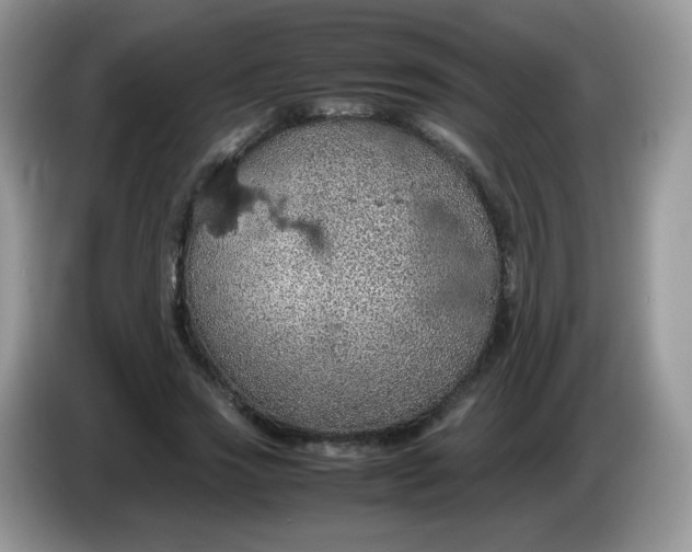 X0000086230733200704121914