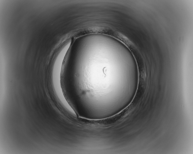 X0000086230734200704121914