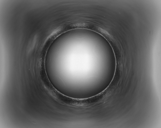 X0000086230735200704121914