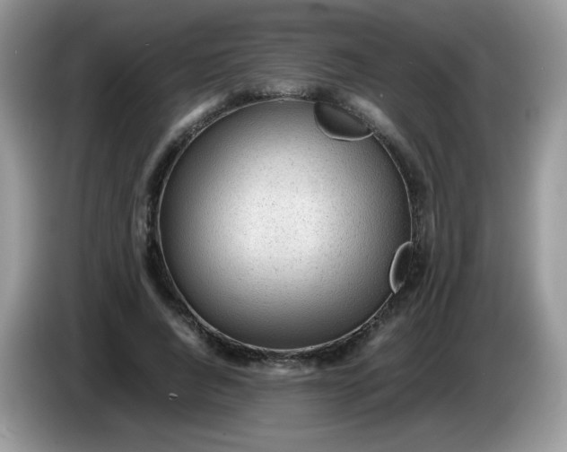 X0000086230736200704121914