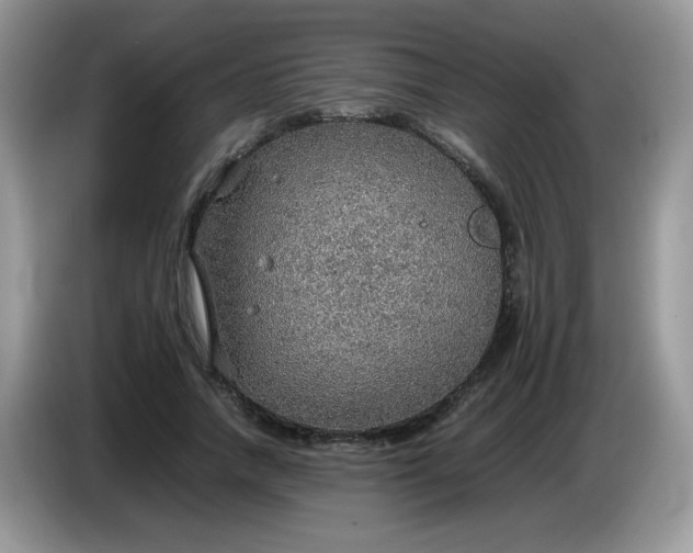 X0000086230738200704121915