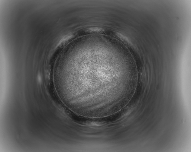 X0000086230739200704121915