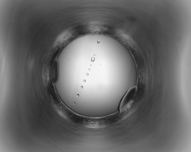 X0000086230740200704121915