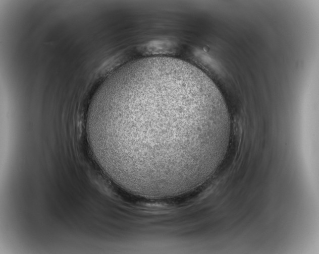 X0000086230741200704121915