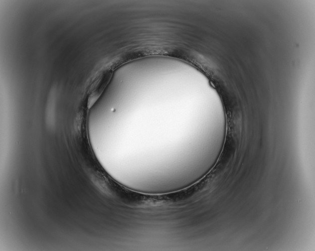 X0000086230742200704121915