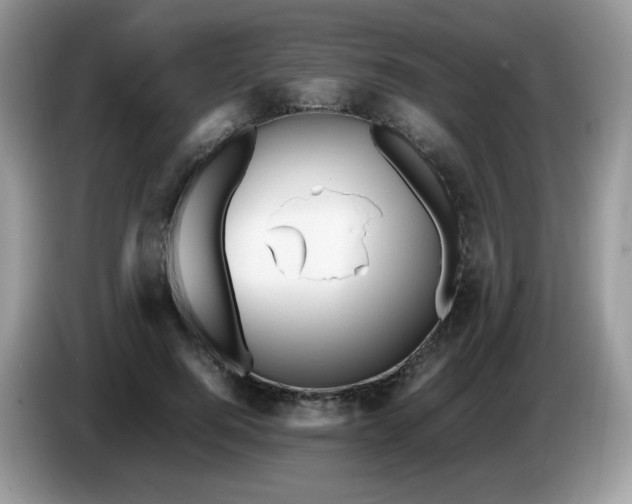 X0000086230744200704121915