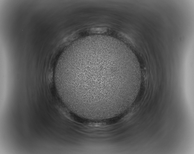 X0000086230745200704121915