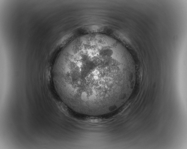 X0000086230746200704121915