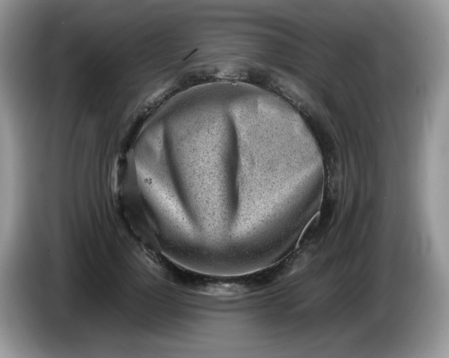 X0000086230748200704121915