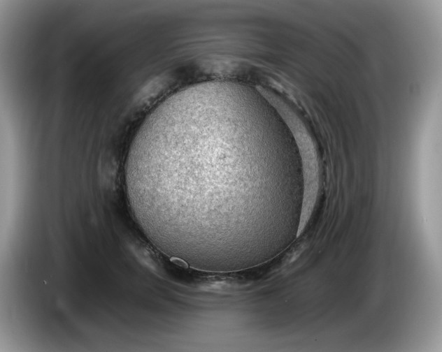 X0000086230750200704121915