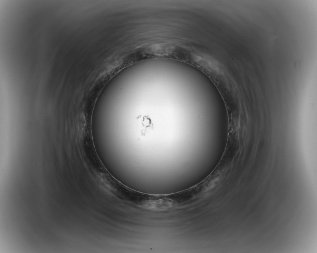 X0000086230752200704121915