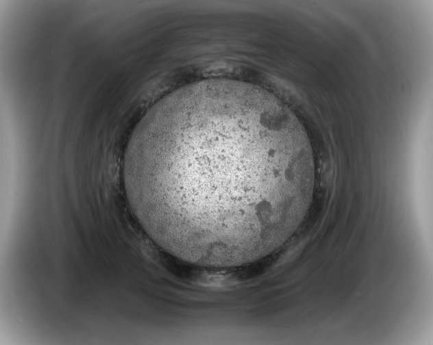 X0000086230753200704121915