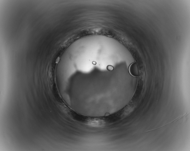 X0000086230754200704121915