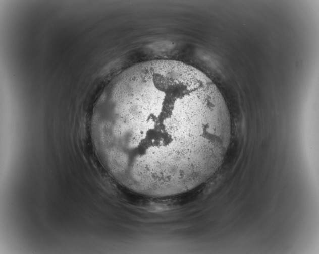 X0000086230757200704121915