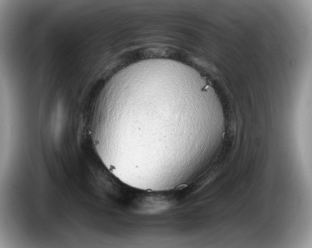 X0000086230759200704121915