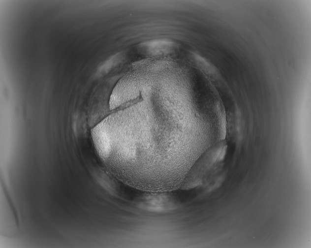 X0000086230762200704121915