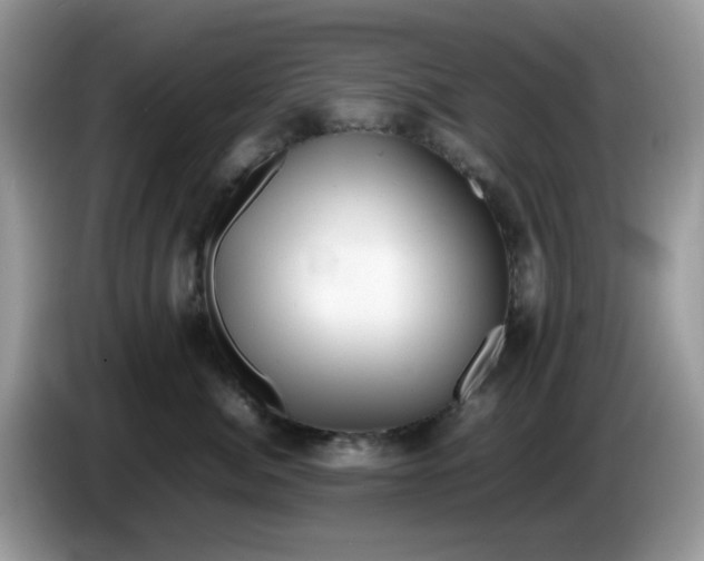 X0000086230764200704121915