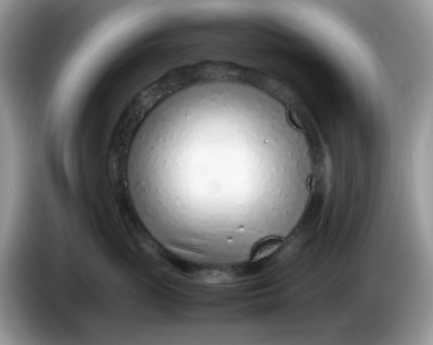 X0000086230765200704121915