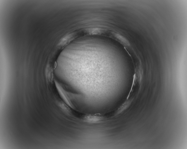 X0000086230766200704121915